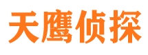 尼勒克天鹰私家侦探公司